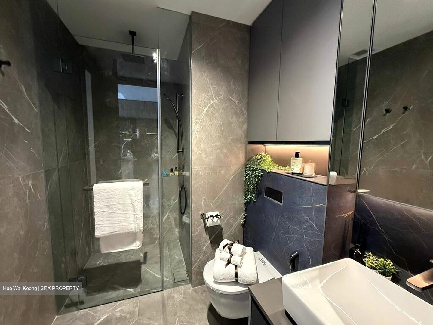 Irwell Hill Residences (D9), Apartment #467232031